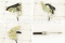 С41R11-8406150b